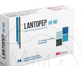 لانتوبيب 60مجم 14 كبسولة